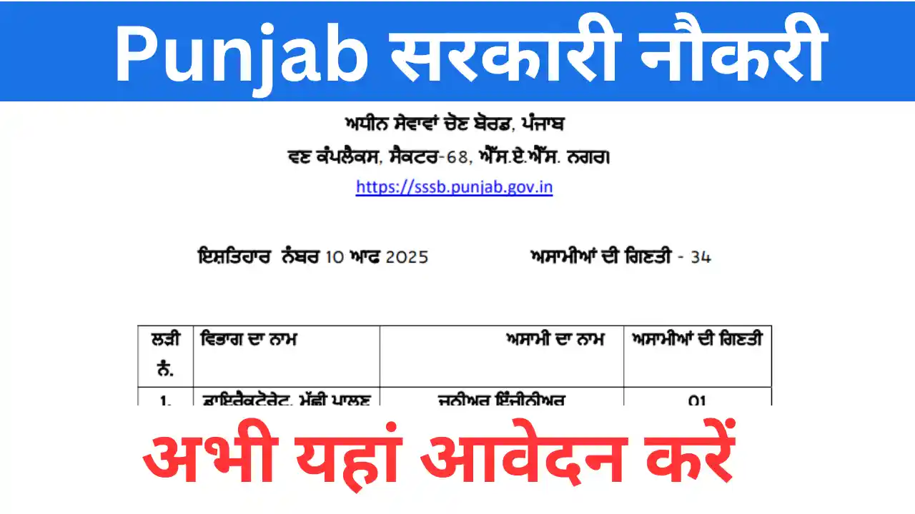 Read more about the article Punjab Govt Jobs 2025: कई विभागों में बंपर भर्ती — अभी यहां आवेदन करें