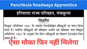 Read more about the article Panchkula Roadways Apprentice 2025: रोडवेज अपरेंटिस भर्ती शुरू — अभी यहां आवेदन करें